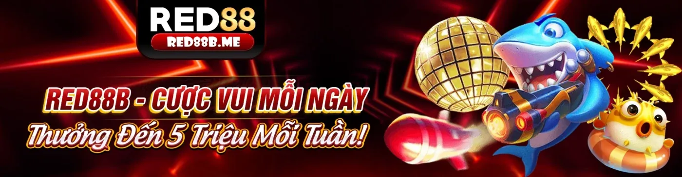 Hình ảnh chính về cá cược thể thao Roobet Bonus