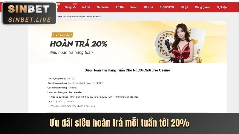 Đăng ký tài khoản Roobet