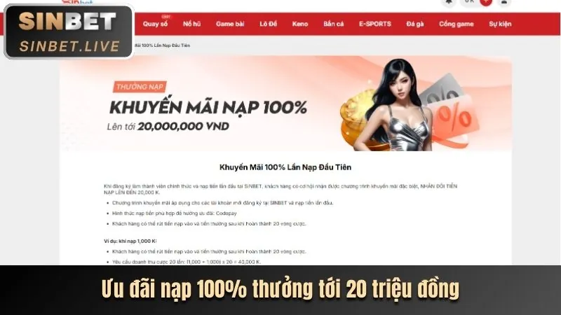 Xác minh tài khoản Roobet